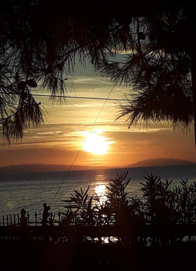 Aegialis Βίλα Σκάλα Καλλιράχης Εξωτερικό φωτογραφία