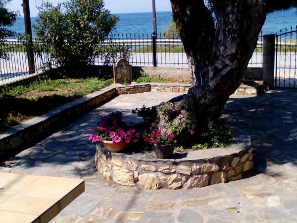 Aegialis Βίλα Σκάλα Καλλιράχης Εξωτερικό φωτογραφία